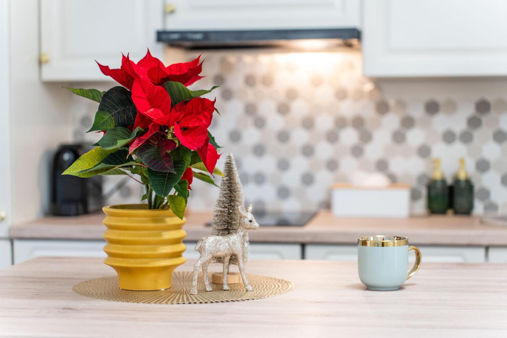Confort Si Eleganta - Elit Lrl Apartament